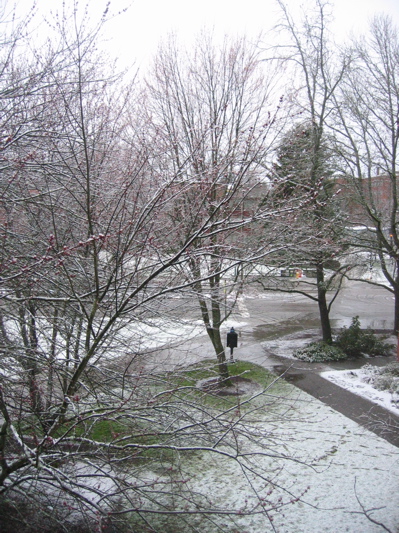 Snow in Eugene