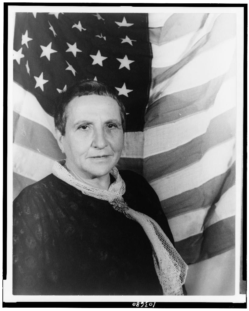 A portrait of Gertrude Stein posing with the United States flag as a backdrop.